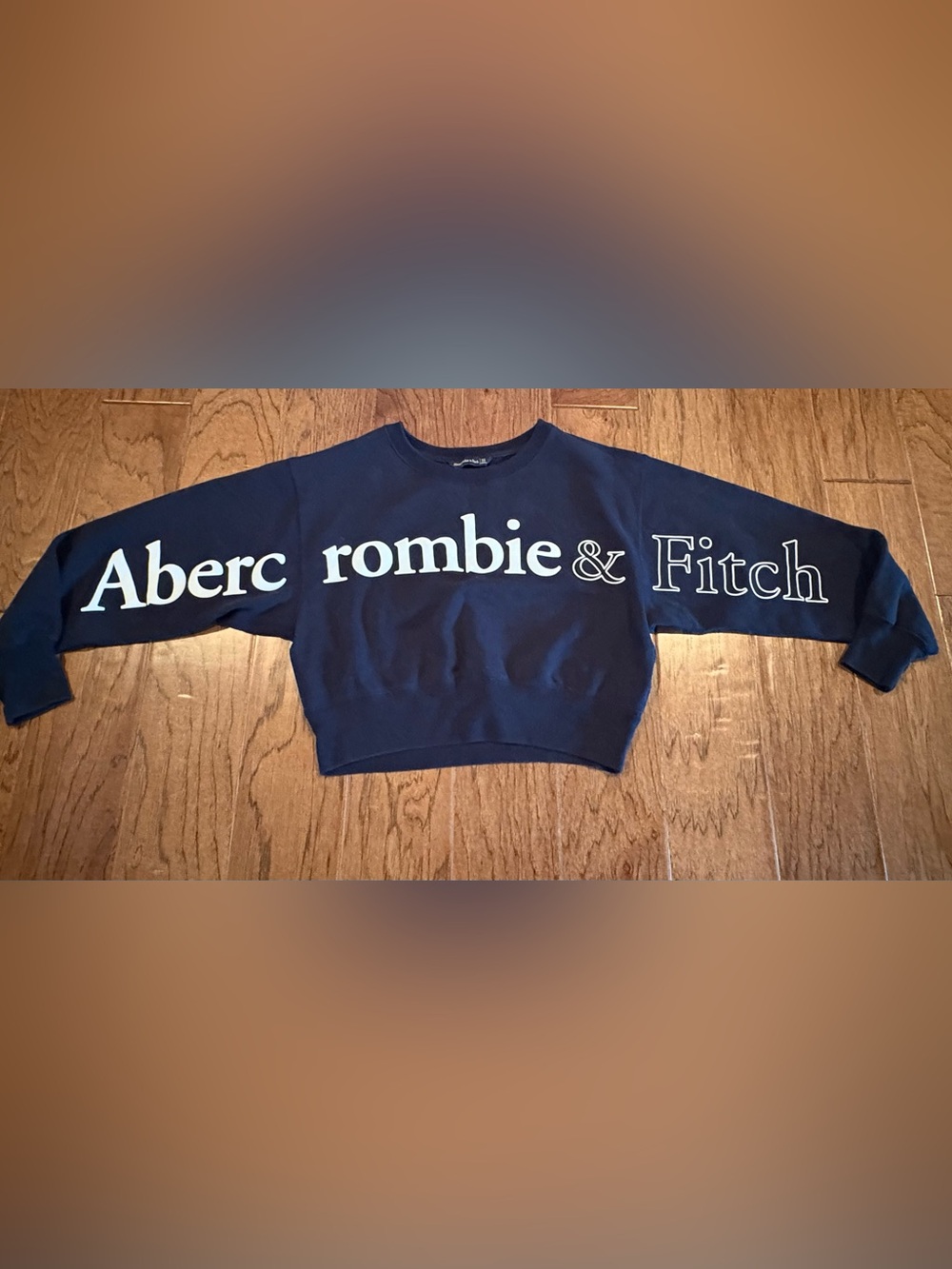 Abercrombie & Fitch Cropped Crewneck Logo Sweatshirt XS